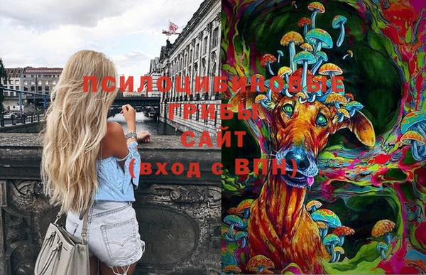 гашик Горнозаводск