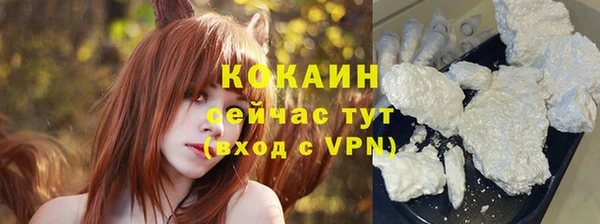 ПСИЛОЦИБИНОВЫЕ ГРИБЫ Горно-Алтайск